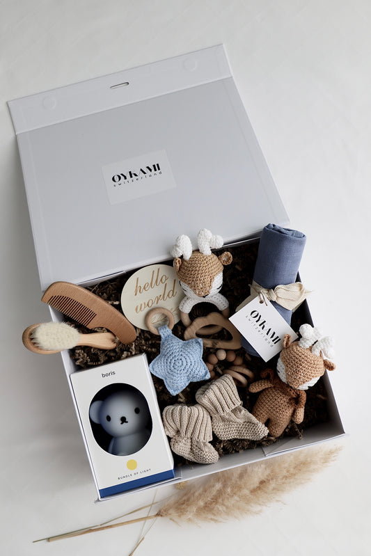 Baby Geschenkbox Junge "Toronto" mit Boris und 2 Elch