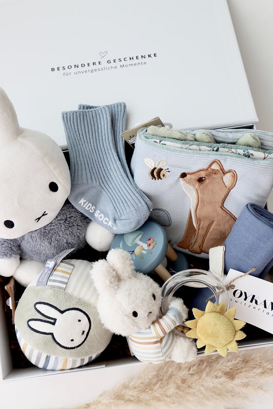 Baby Geschenkbox 6 - Miffy Blau