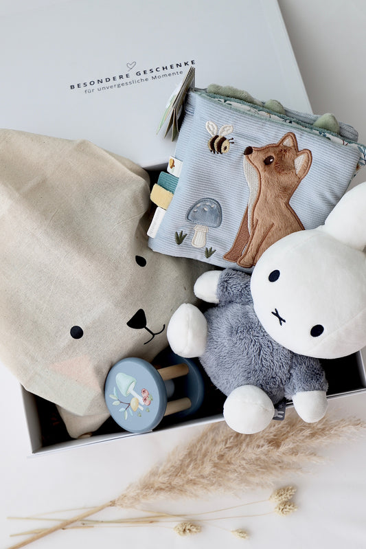Baby Geschenkbox 4 - Miffy Blau
