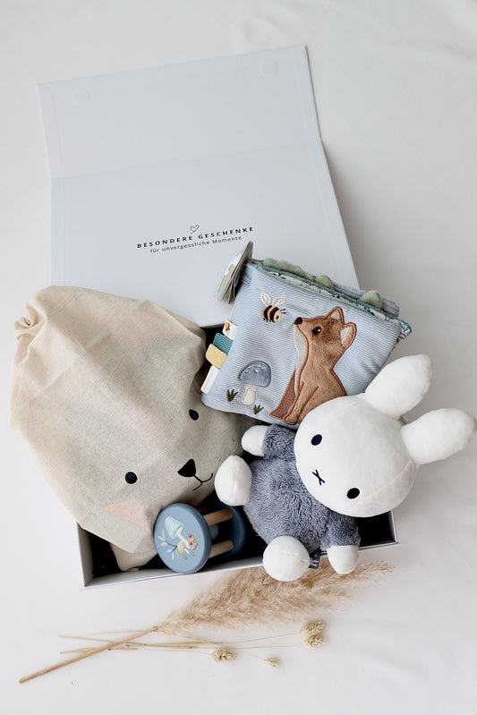 Baby Geschenkbox 4 - Miffy Blau