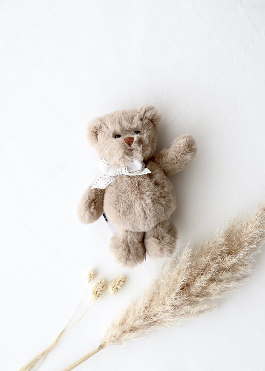 Stofftier Teddy braun