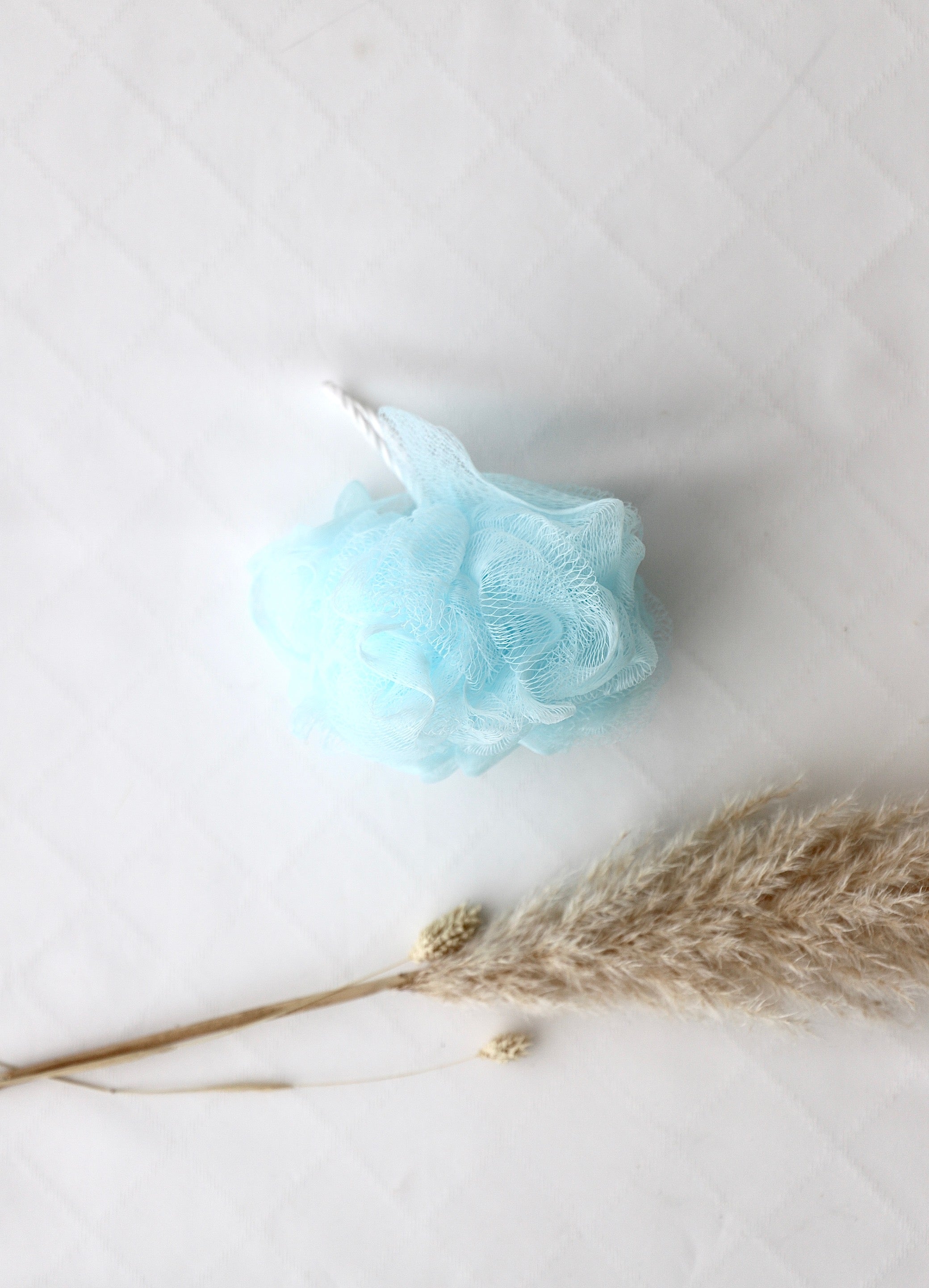 Badeschwämme in Blau