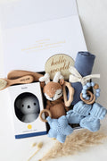 Baby Geschenkbox Junge 