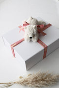 Geschenkoption - OYKAMI in a box