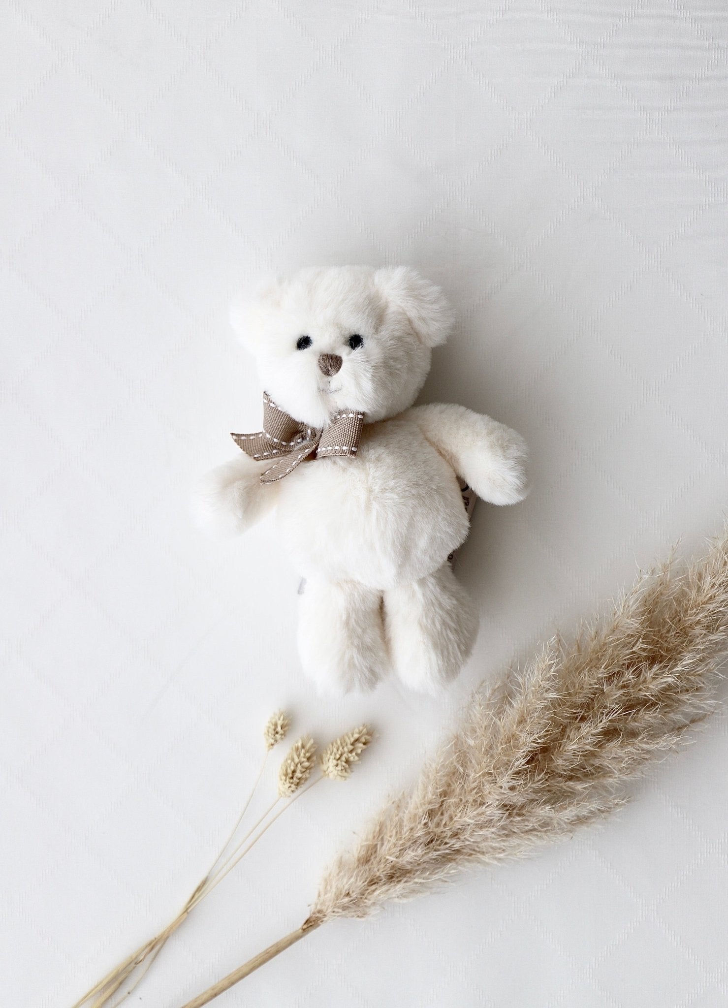 Stofftier Teddy weiss - OYKAMI in a box